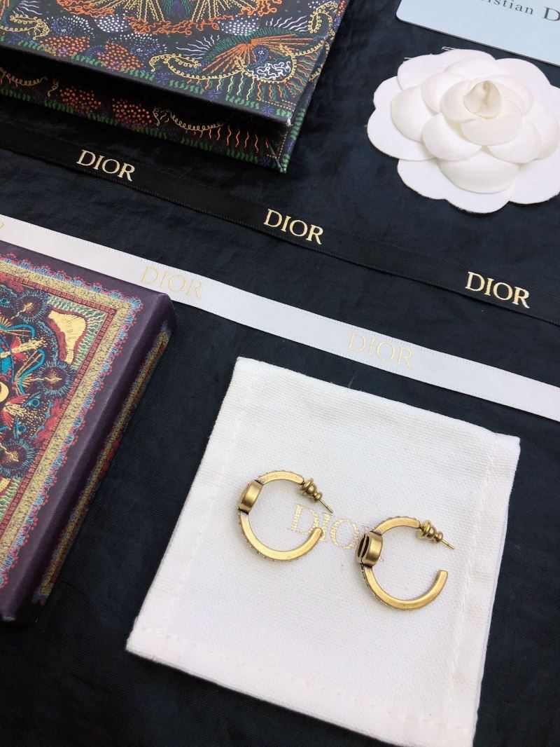 Christian Dior Earrings